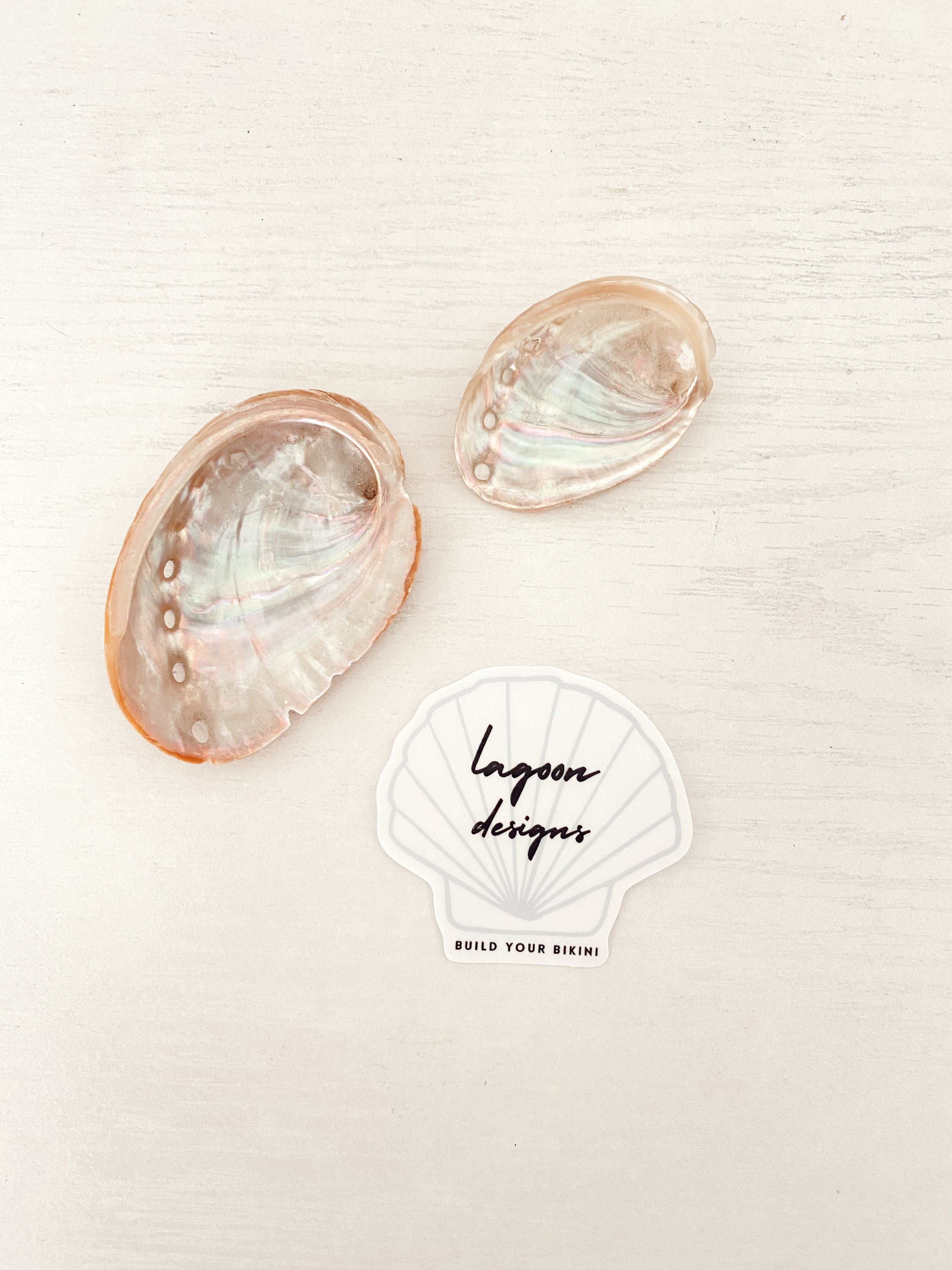Shell sticker – L A G O O N DESIGNS