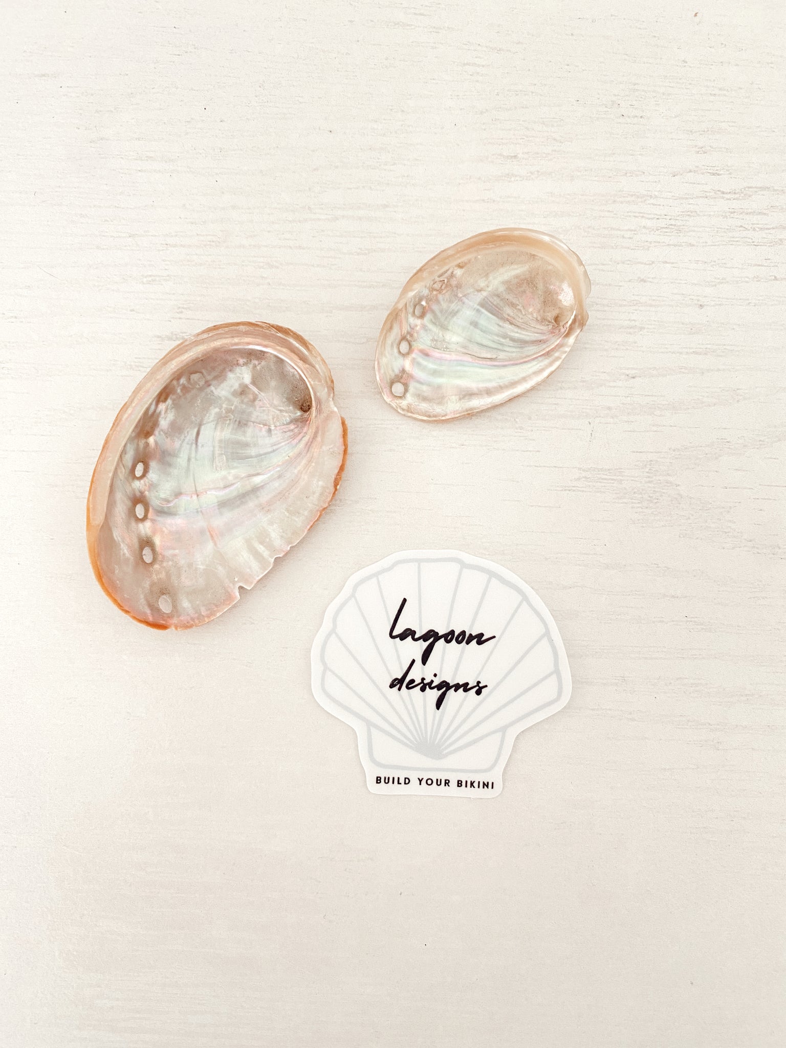 Shell Necklace Sticker Shell sticker – L A G O O N DESIGNS
